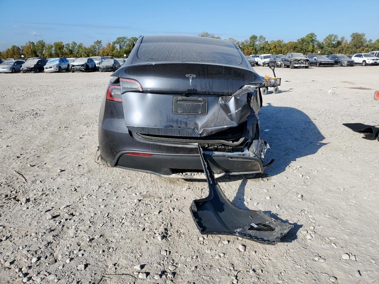 2024 Tesla Model Y VIN: 7SAYGDEE6RA239822 Lot: 92616955