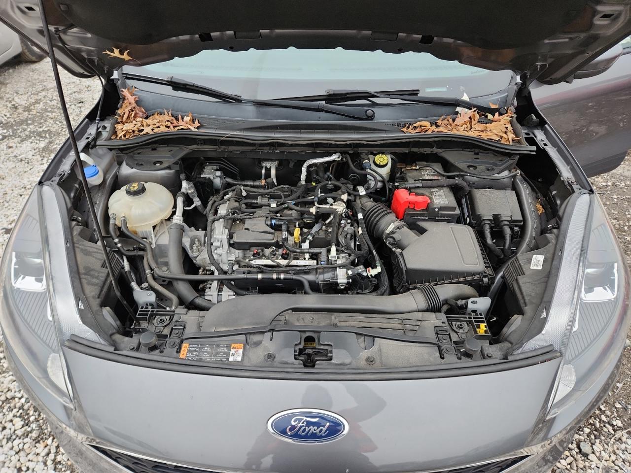 2021 Ford Escape Sel VIN: 1FMCU0H61MUA56761 Lot: 93659935