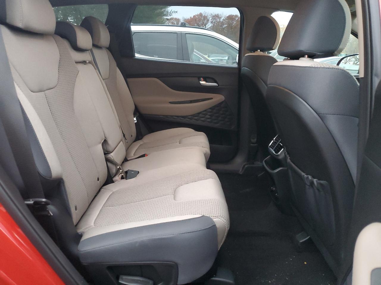 2020 Hyundai Santa Fe Sel VIN: 5NMS3CAD3LH191551 Lot: 91676595