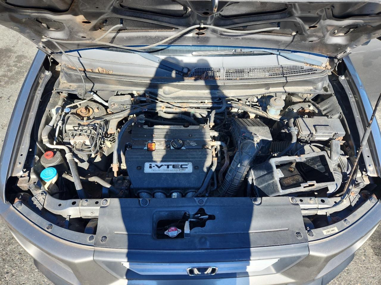 2008 Honda Element Ex VIN: 5J6YH28738L000670 Lot: 90359705