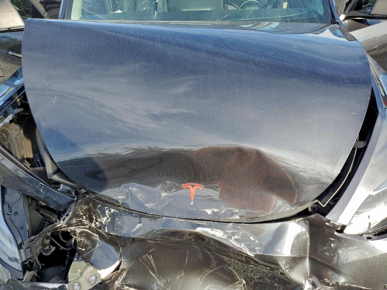 2024 Tesla Model Y VIN: 7SAYGAEE0RF098408 Lot: 94413735