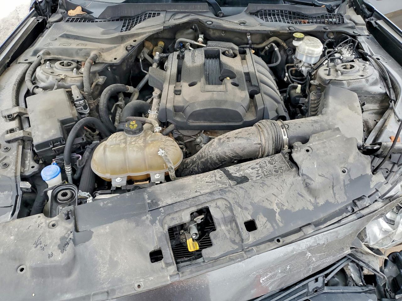 2020 Ford Mustang VIN: 1FA6P8TH8L5130031 Lot: 94340605