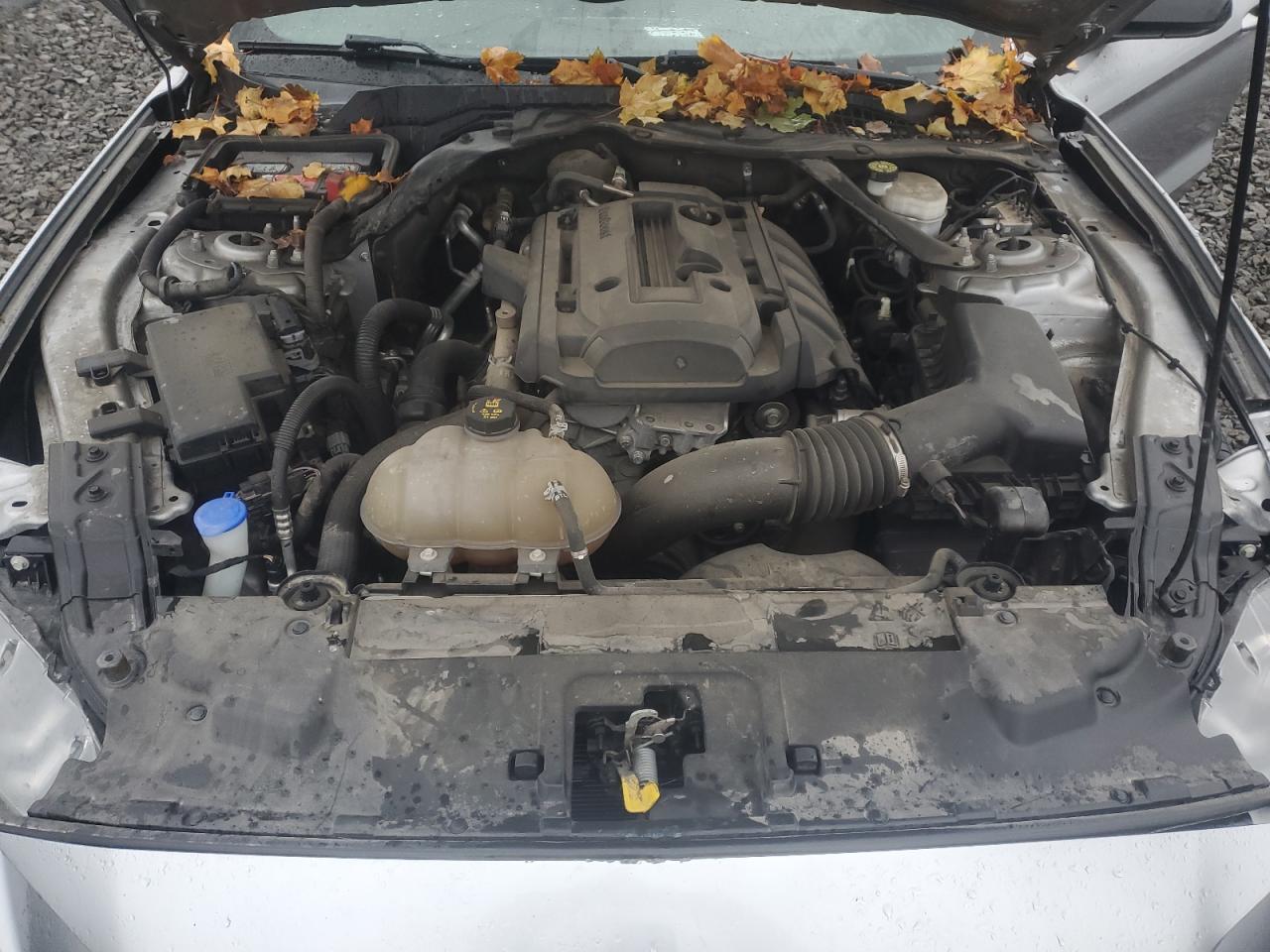 2020 Ford Mustang VIN: 1FATP8UH3L5118659 Lot: 91722975