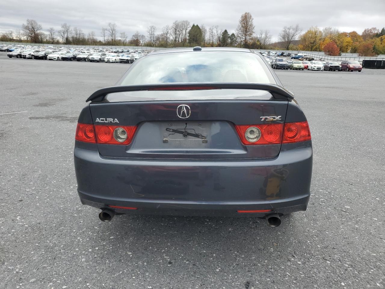 2007 Acura Tsx VIN: JH4CL96807C019127 Lot: 92037875