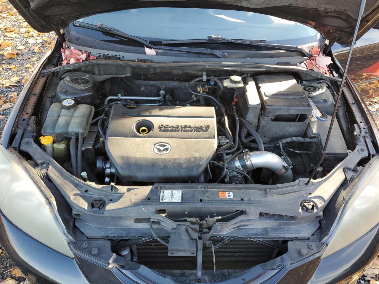 2006 Mazda 3 Hatchback VIN: JM1BK343861541776 Lot: 92476135