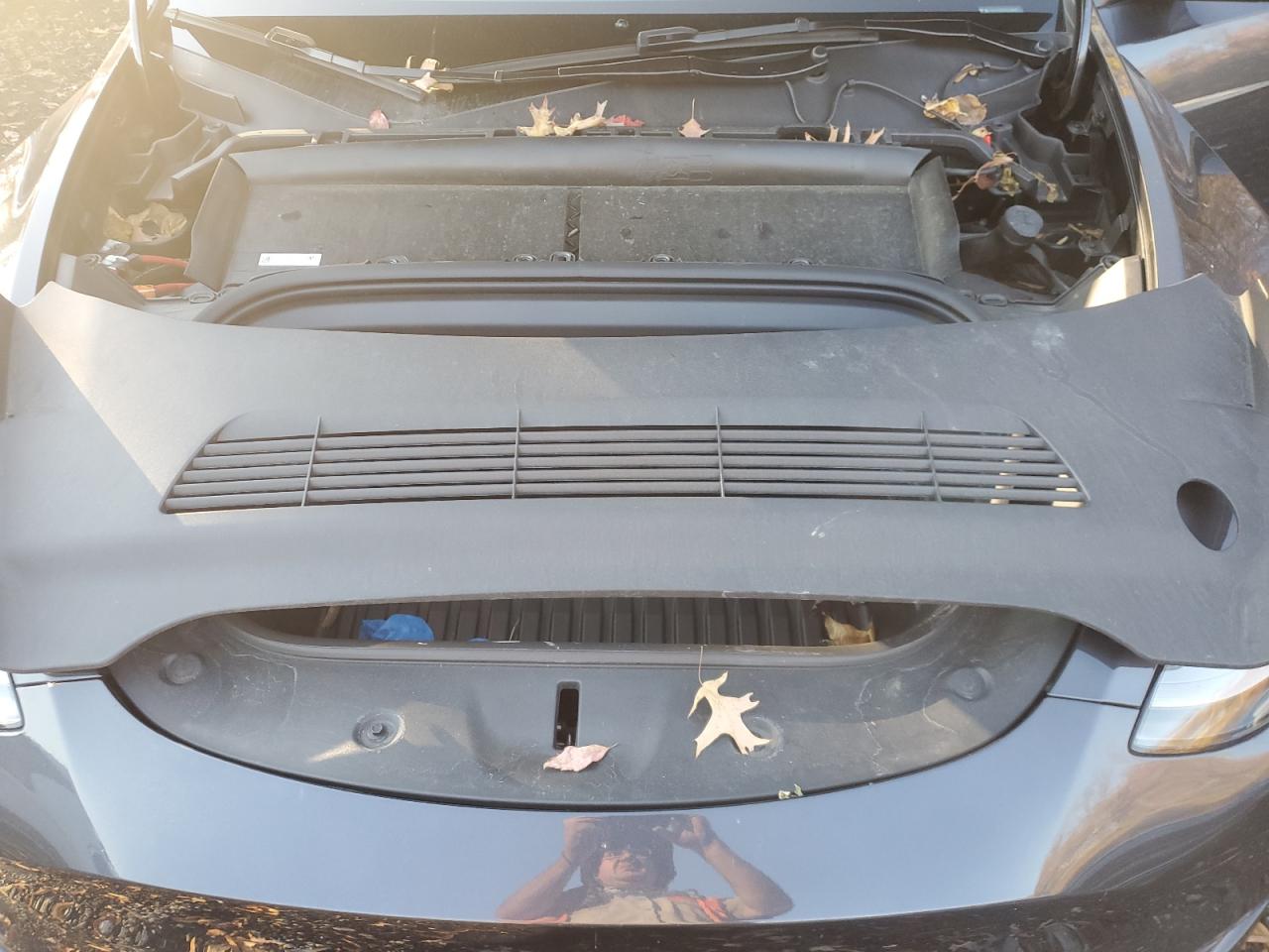 2024 Tesla Model Y VIN: 7SAYGDEE1RA218828 Lot: 90925445