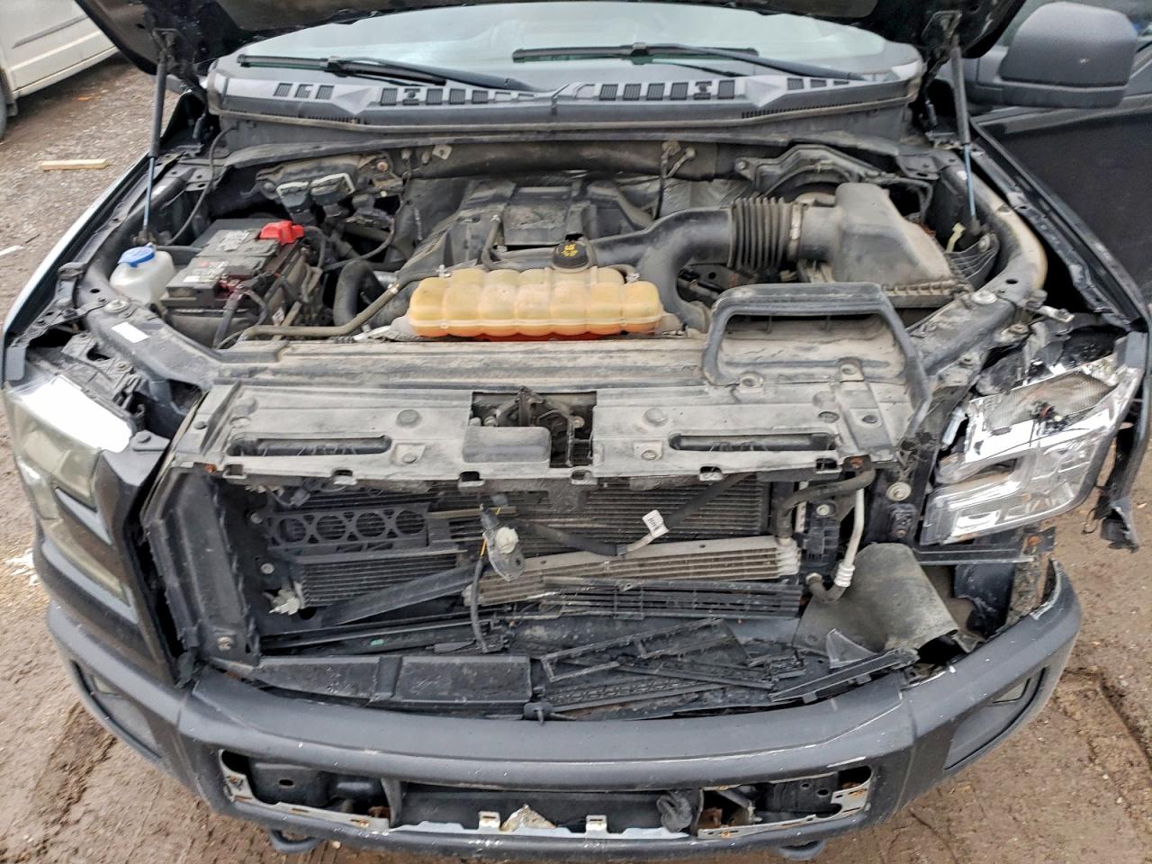 2015 Ford F150 Supercrew VIN: 1FTEW1EP5FFC96803 Lot: 94521935