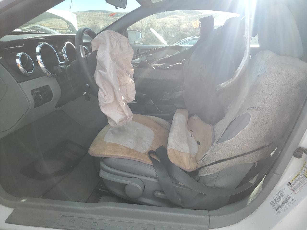 2009 Ford Mustang VIN: 1ZVHT84N195108266 Lot: 91052465