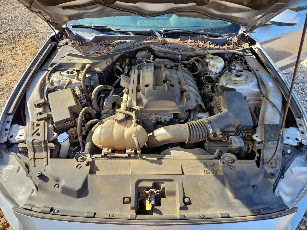 2020 Ford Mustang VIN: 1FA6P8TH6L5136734 Lot: 93898645