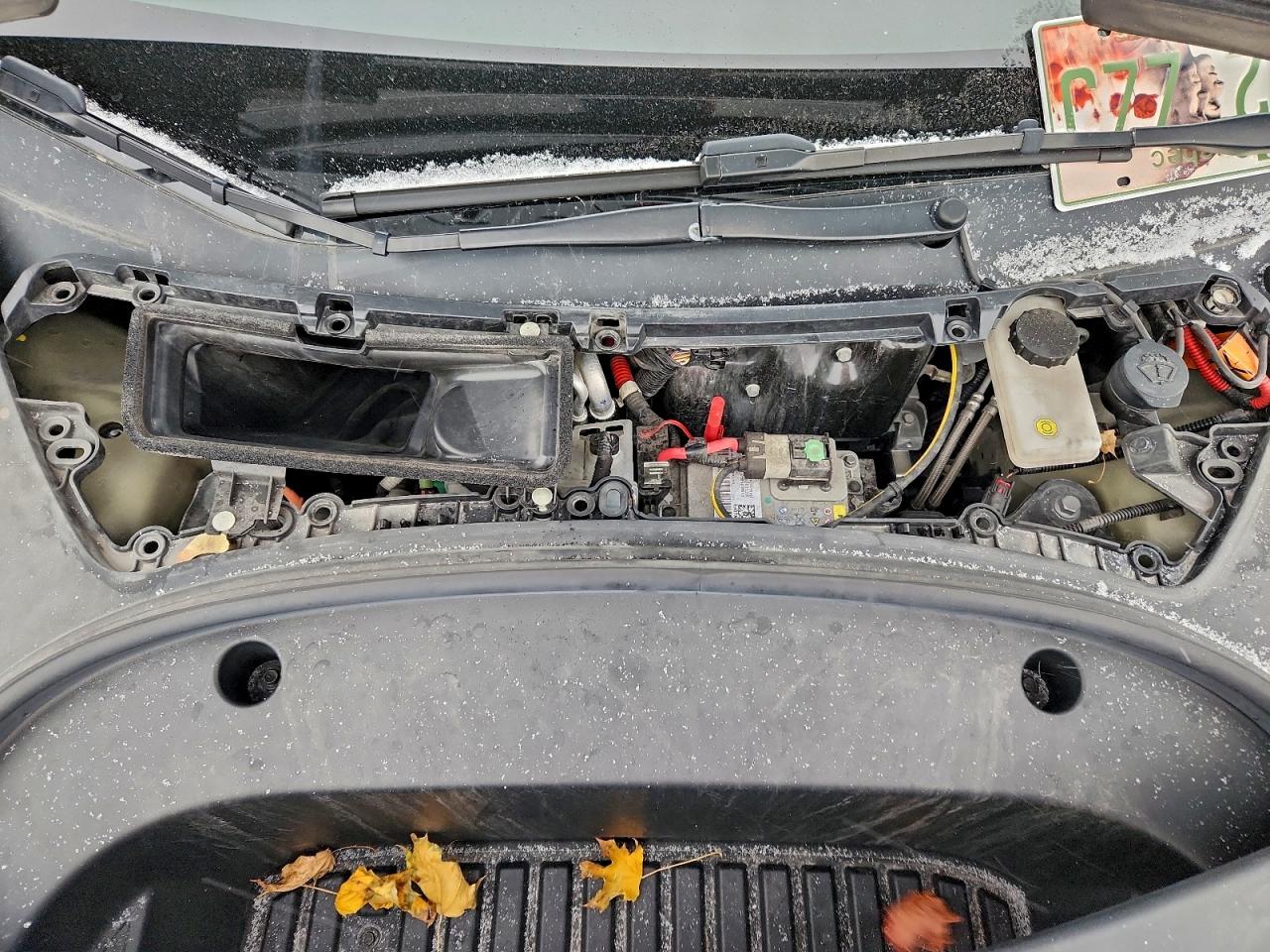 2023 Tesla Model 3 VIN: 5YJ3E1EA7PF394436 Lot: 93985855