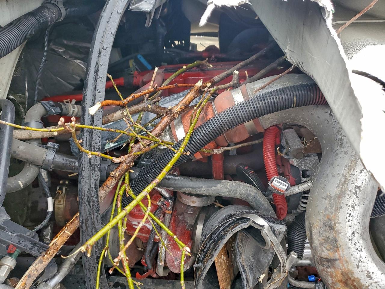 2020 International Mv607 VIN: 3HAEUMML6LL336745 Lot: 94297415