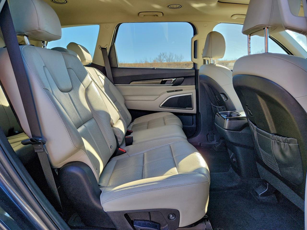 2020 Kia Telluride Ex VIN: 5XYP3DHC2LG052630 Lot: 93748075