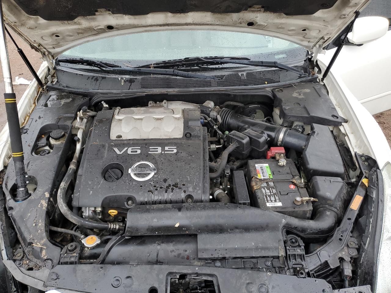 2007 Nissan Maxima Se VIN: 1N4BA41E57C830771 Lot: 93454765