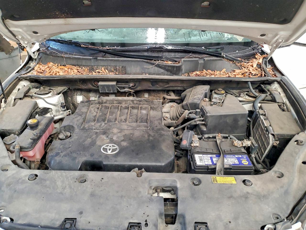 2007 Toyota Rav4 Limited VIN: JTMBK31V675033323 Lot: 93934255