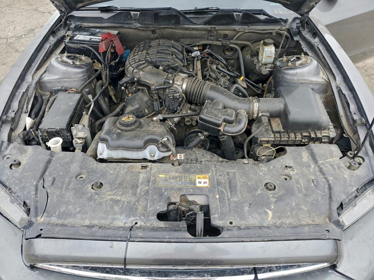 2014 Ford Mustang VIN: 1ZVBP8AM0E5236059 Lot: 93716825