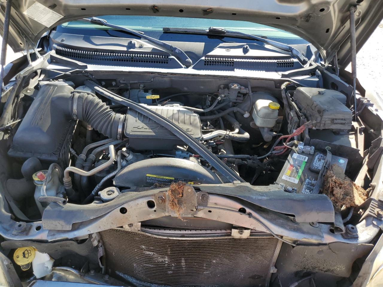 2006 Dodge Dakota Quad Slt VIN: 1D7HE48N16S502806 Lot: 92028675