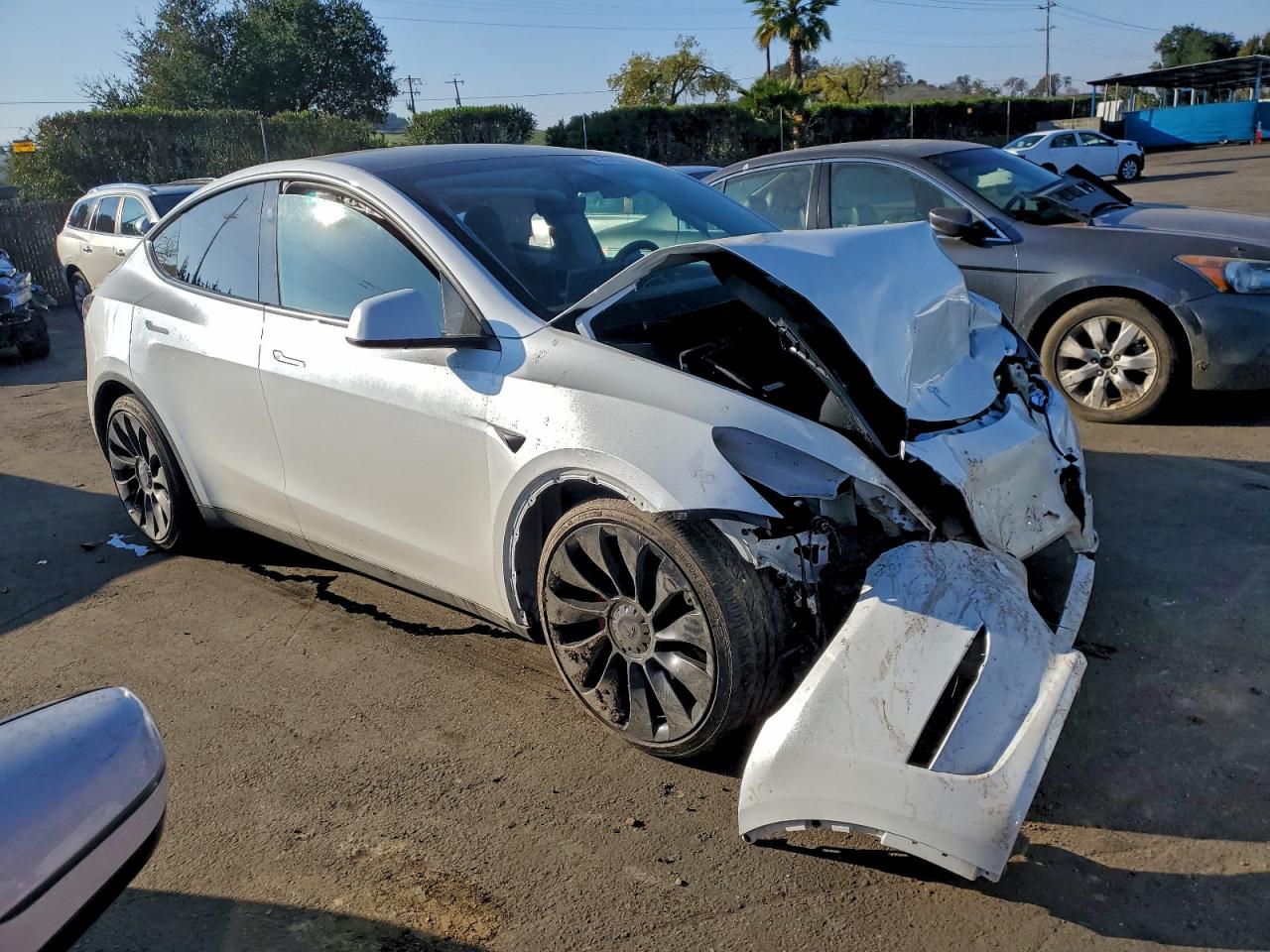 2025 Tesla Model Y VIN: 7SAYGDEFXSF299877 Lot: 94251095