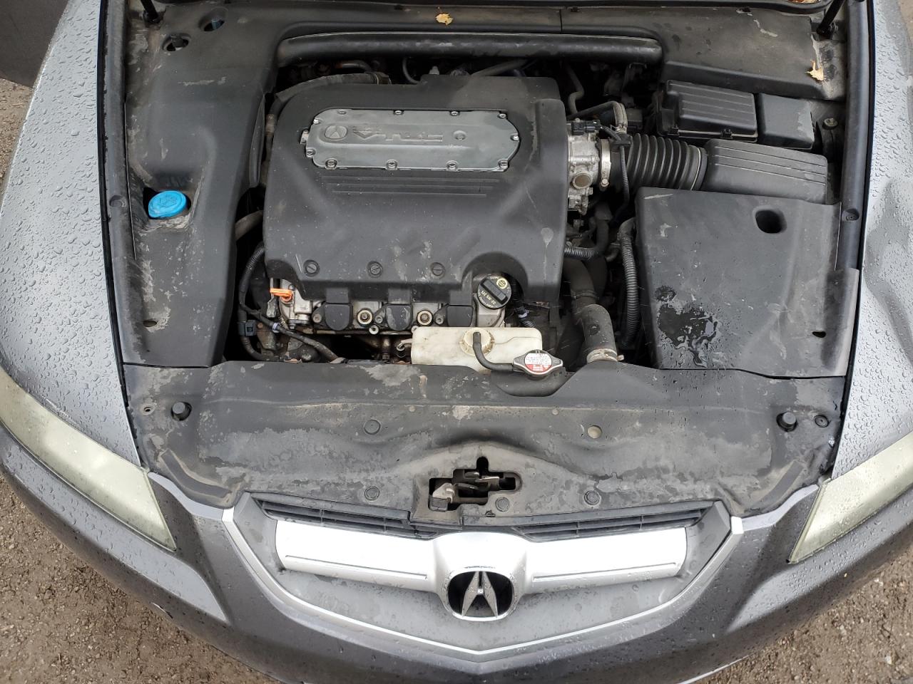 2005 Acura Tl VIN: 19UUA66245A804671 Lot: 91596455