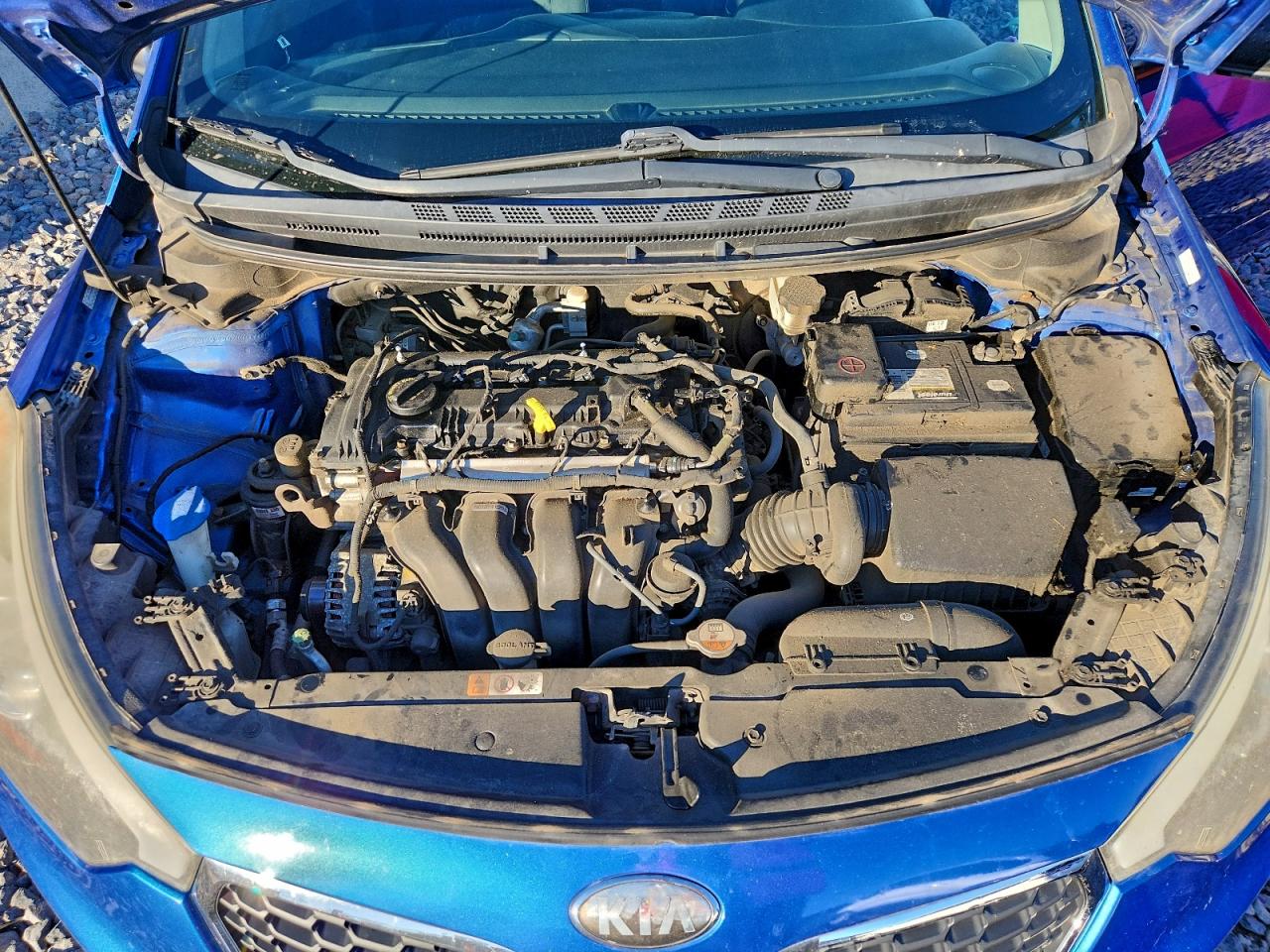 2014 Kia Forte Lx VIN: KNAFK4A60E5055229 Lot: 94043785