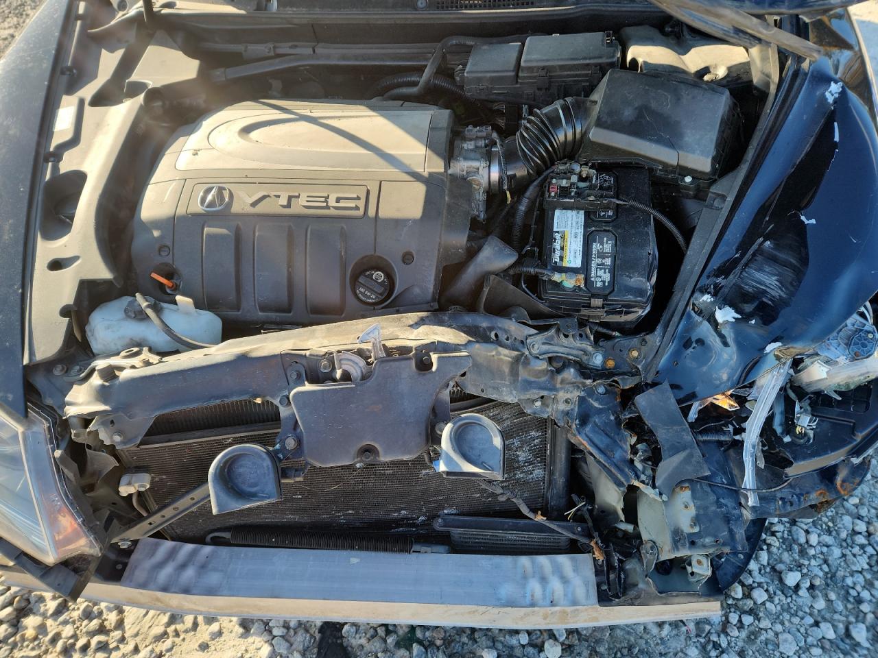 2008 Acura Rl VIN: JH4KB16558C003447 Lot: 91844495