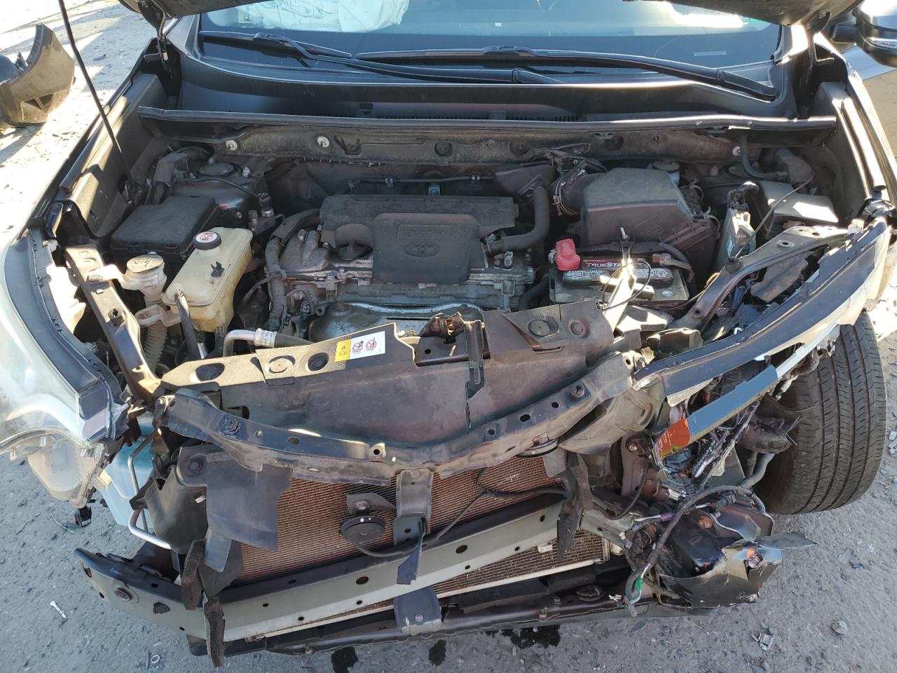 2017 Toyota Rav4 Xle VIN: JTMRFREV3HJ709476 Lot: 92477295