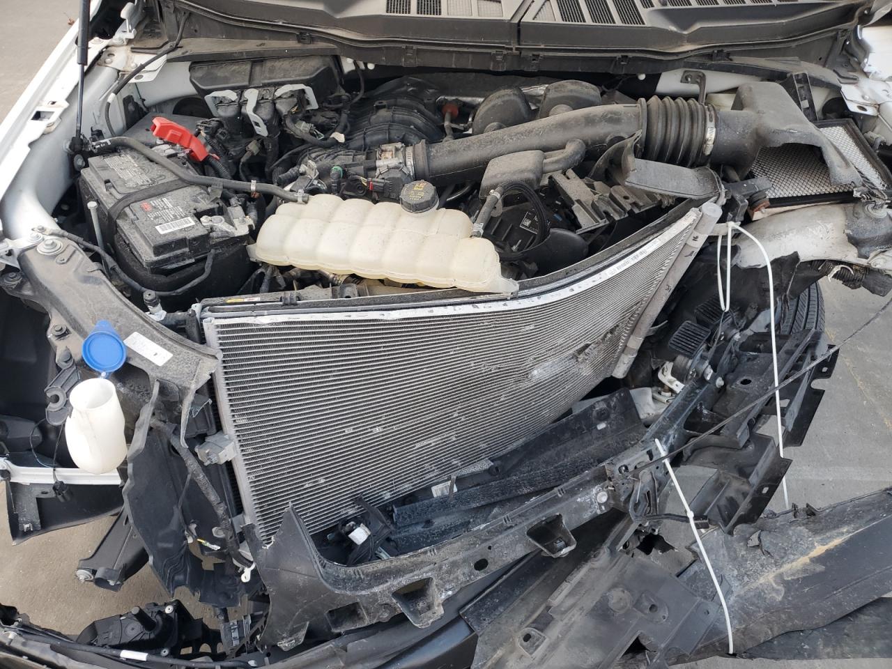 2022 Ford F150 VIN: 1FTMF1CBXNKE06270 Lot: 92390915