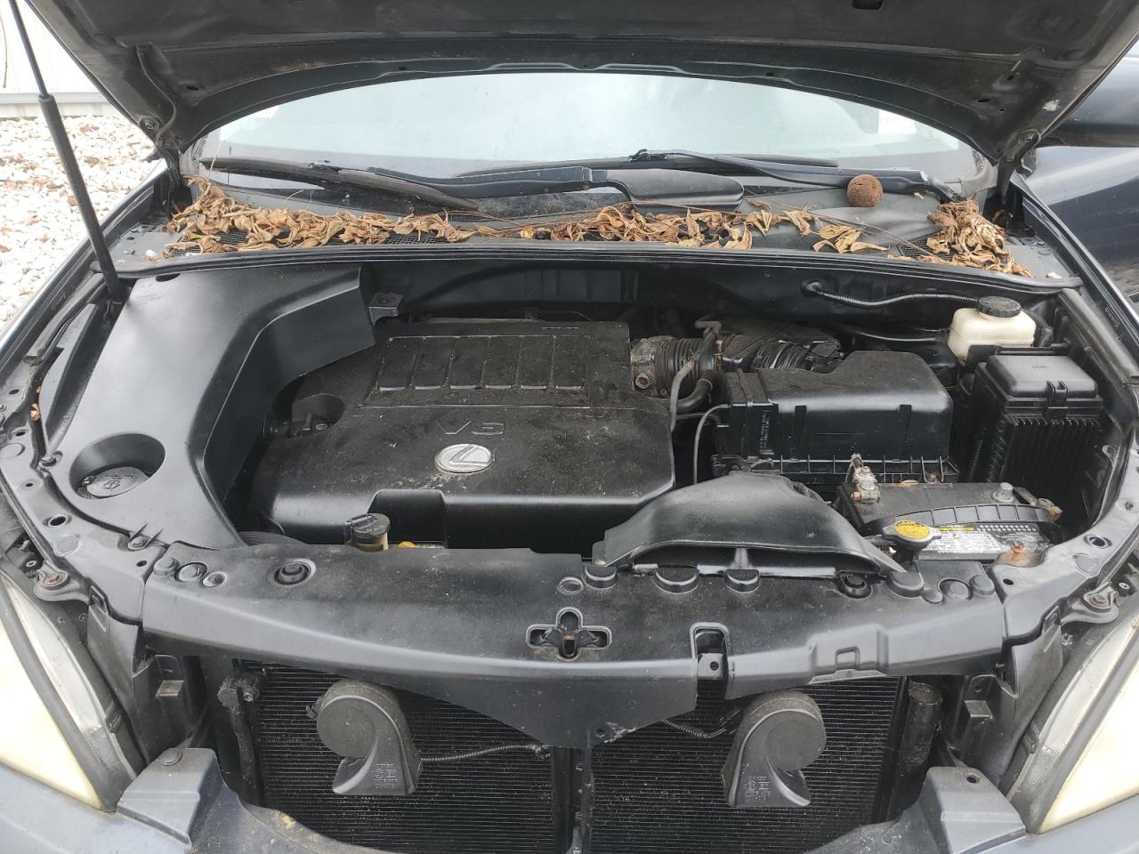 2007 Lexus Rx 350 VIN: 2T2HK31UX7C011227 Lot: 92021065