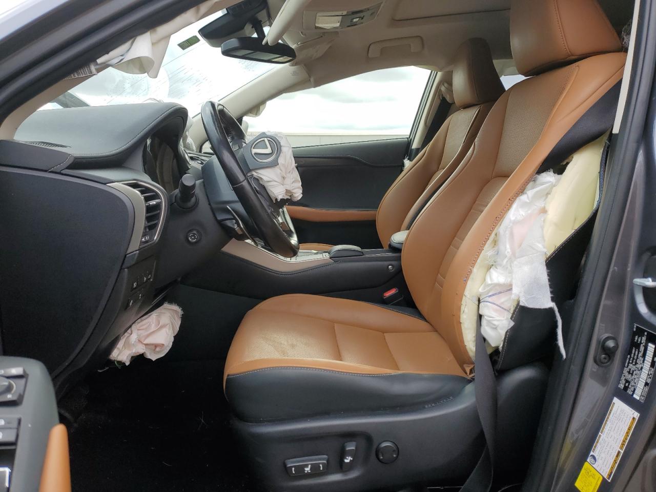 2020 Lexus Nx 300 VIN: JTJDARDZ0L2231515 Lot: 91866535