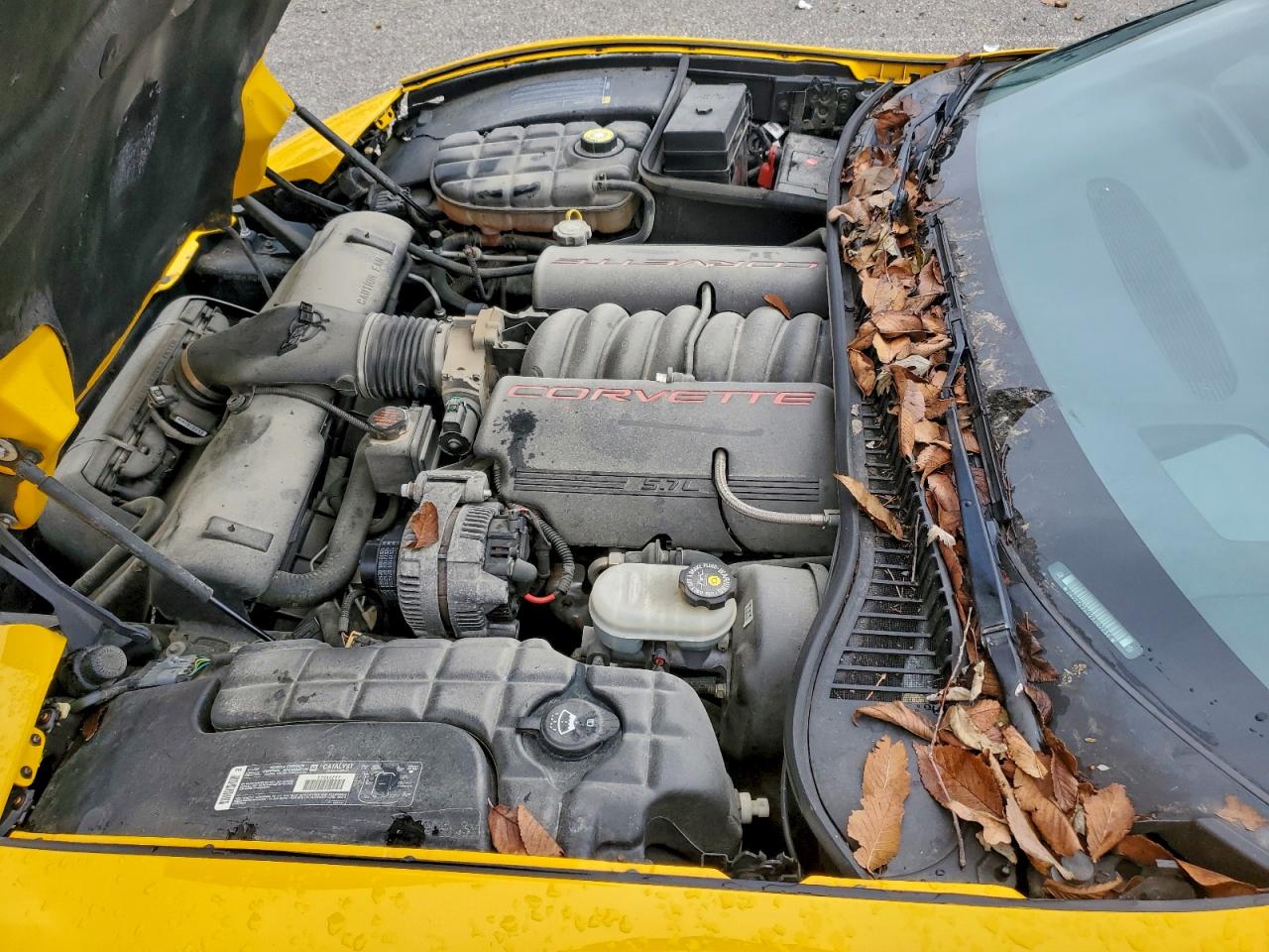 2002 Chevrolet Corvette VIN: 1G1YY22G125107235 Lot: 93044965