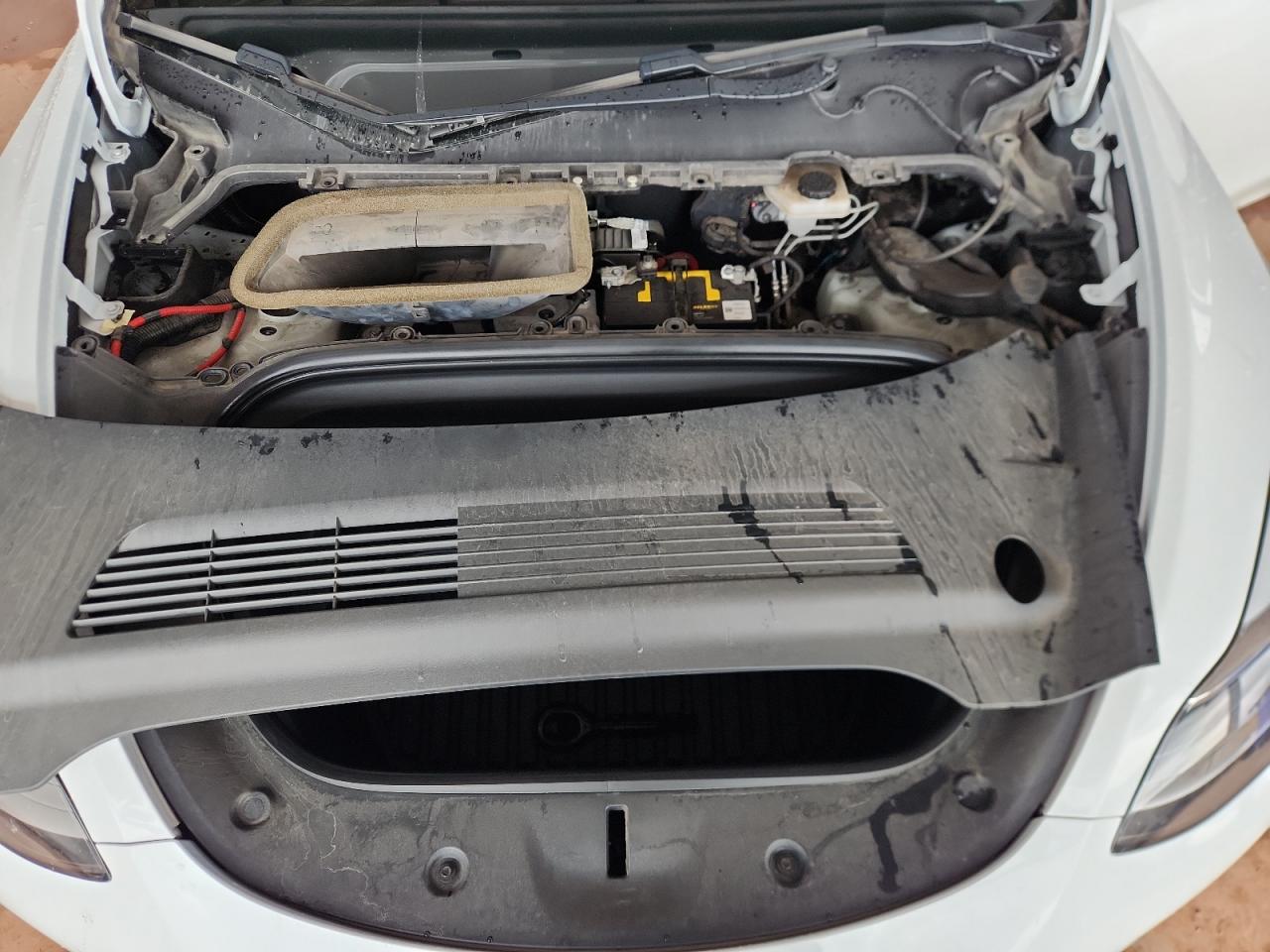 2020 Tesla Model Y VIN: 5YJYGDEE1LF055931 Lot: 93655545