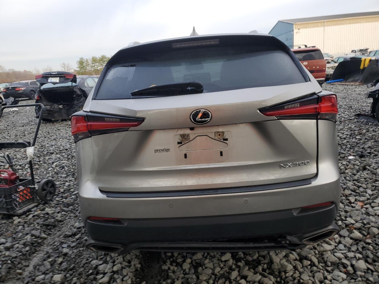 2020 Lexus Nx 300 VIN: JTJDARDZ4L5017772 Lot: 93525565