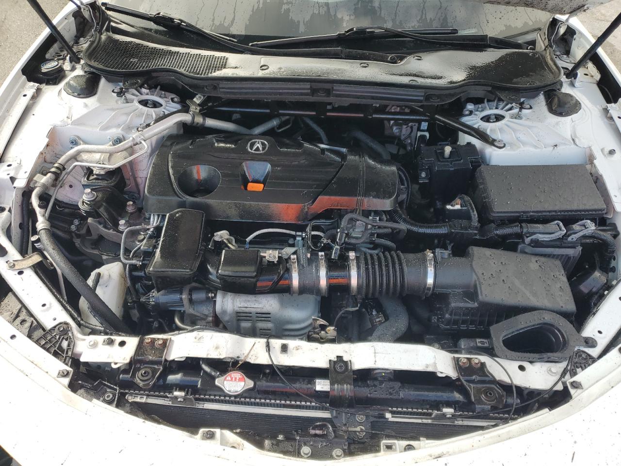 2021 Acura Tlx Technology VIN: 19UUB6F44MA001646 Lot: 92085785