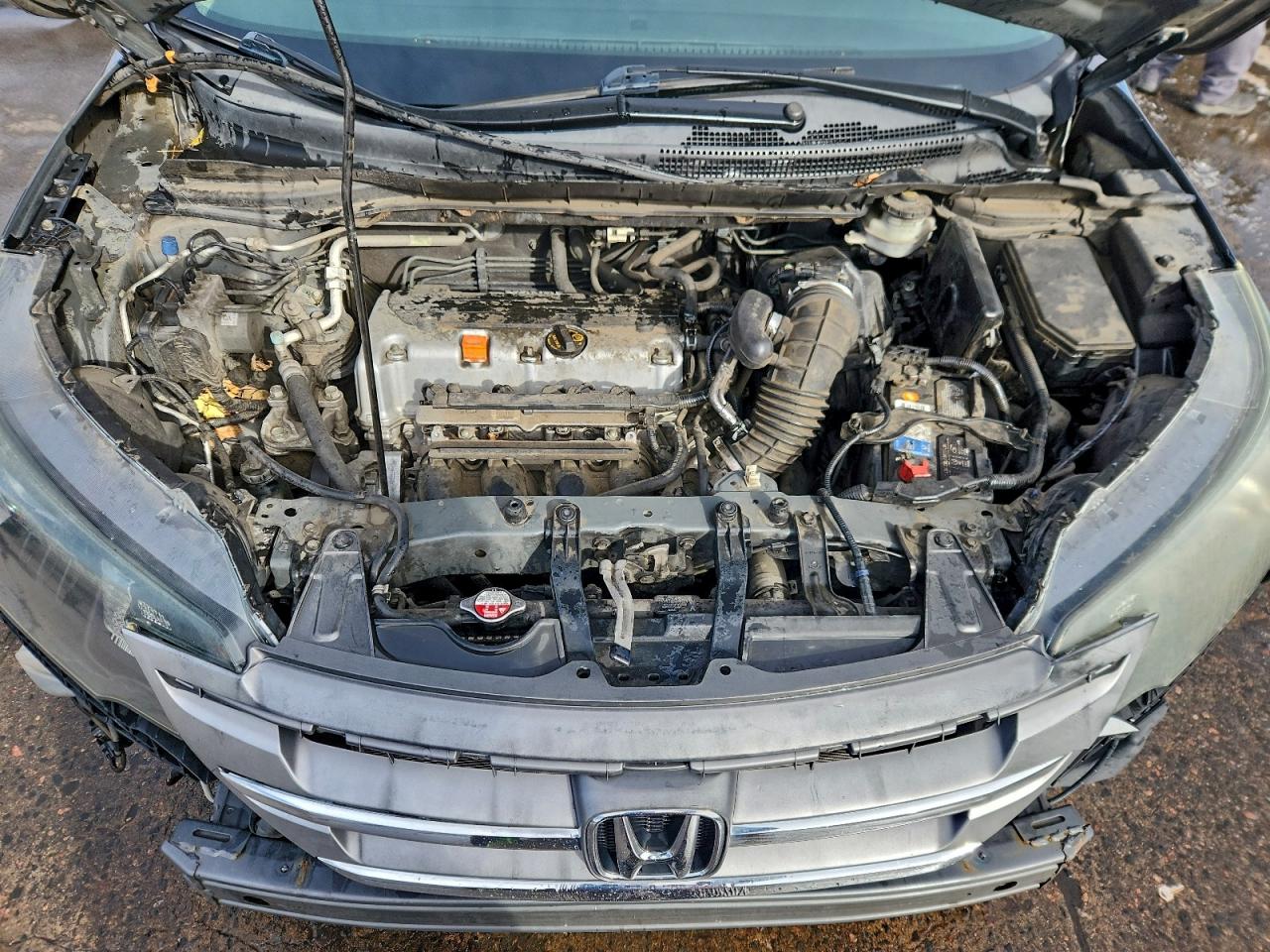 2013 Honda Cr-V Exl VIN: 2HKRM4H72DH677189 Lot: 93875325