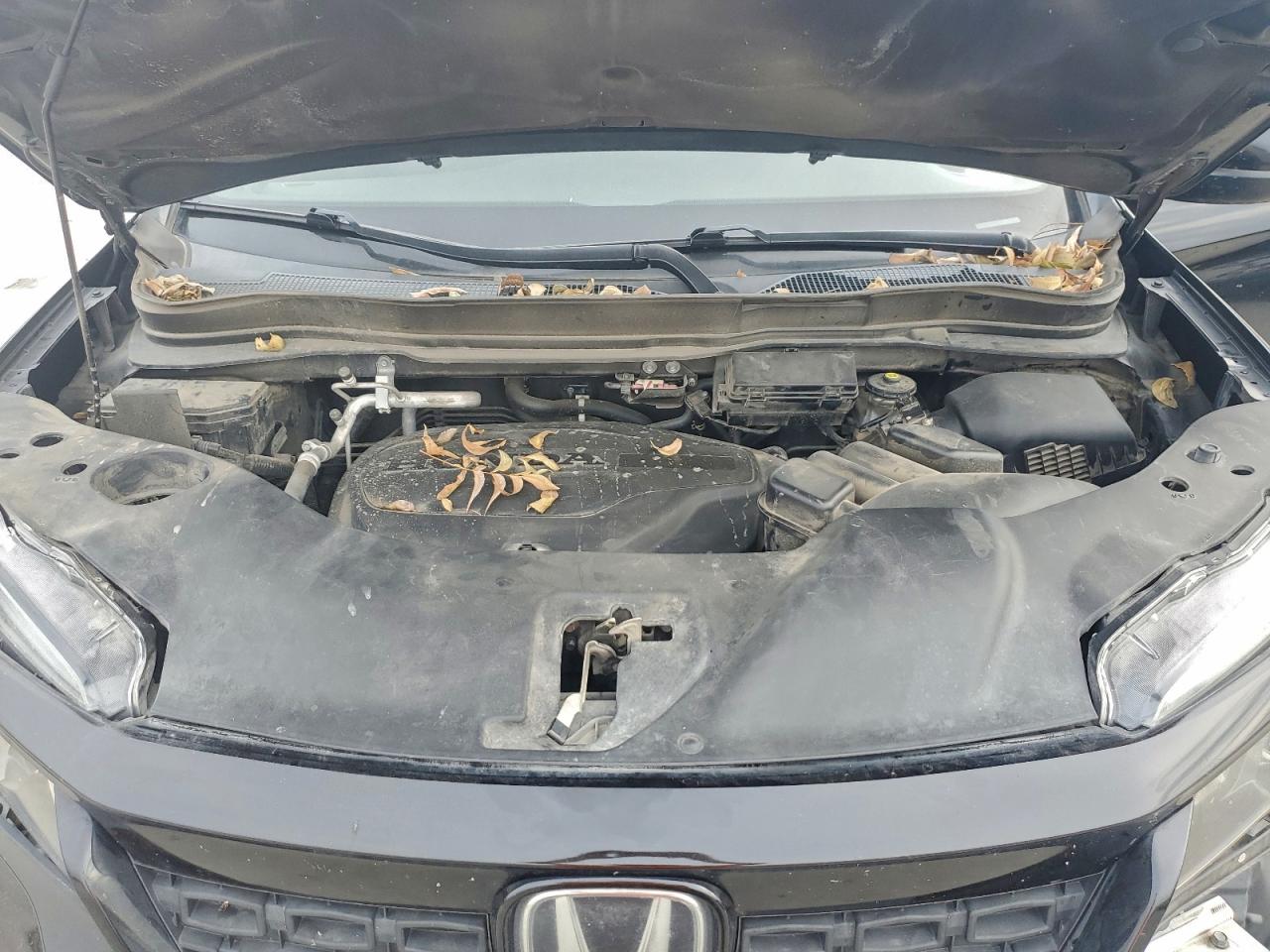 2021 Honda Passport Sport VIN: 5FNYF7H22MB009810 Lot: 93413935