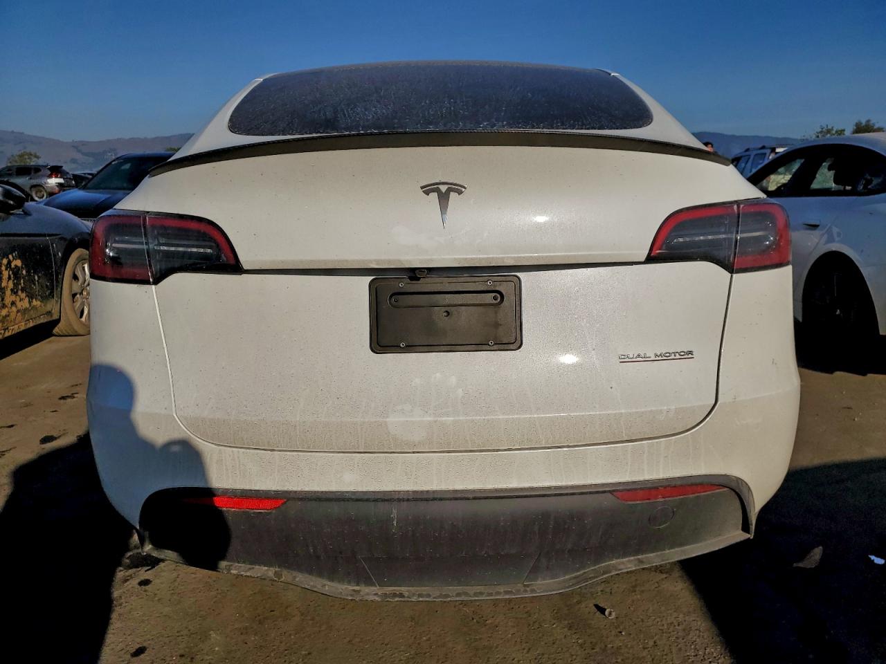 2025 Tesla Model Y VIN: 7SAYGDEFXSF299877 Lot: 94251095