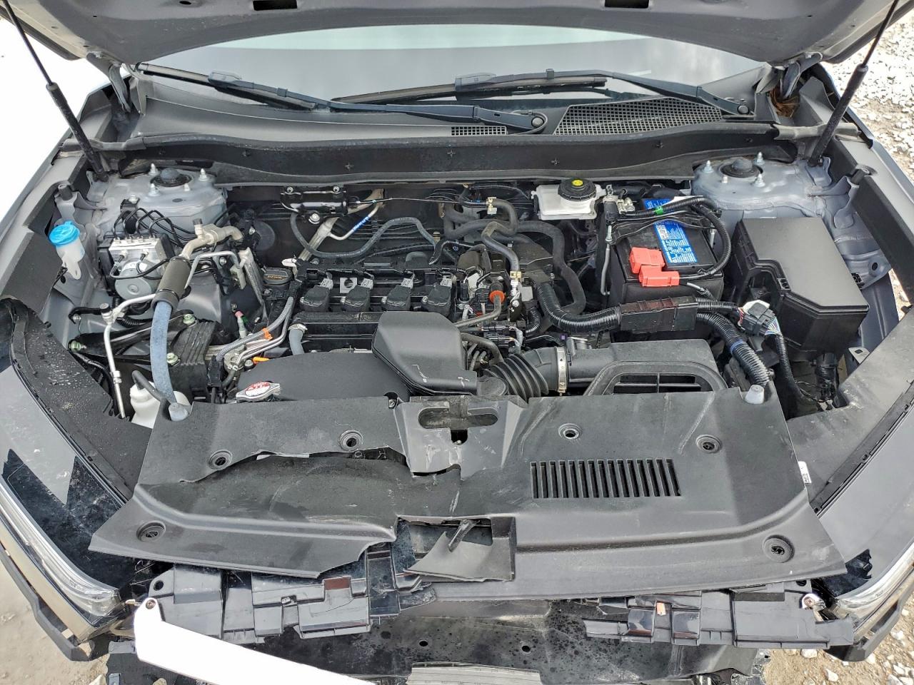 2024 Honda Cr-V Lx VIN: 5J6RS3H26RL003564 Lot: 94343075