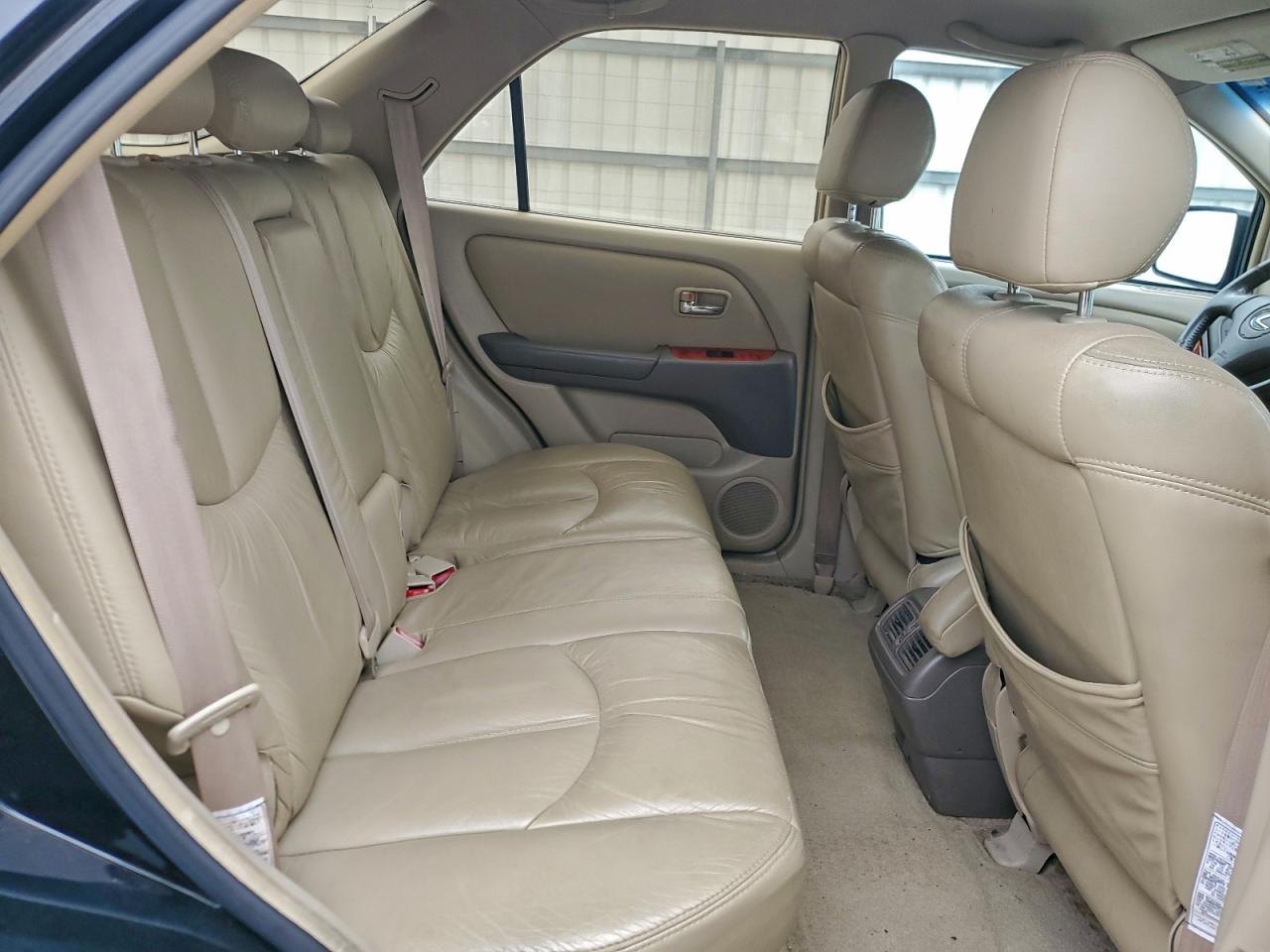 2001 Lexus Rx 300 VIN: JTJGF10UX10089709 Lot: 93201185