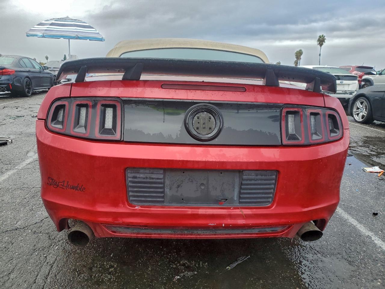 2013 Ford Mustang VIN: 1ZVBP8EM8D5204050 Lot: 52772145