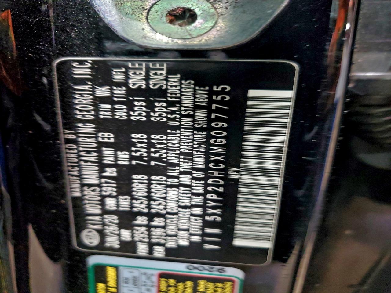 2021 Kia Telluride Lx VIN: 5XYP2DHCXMG097755 Lot: 93486175