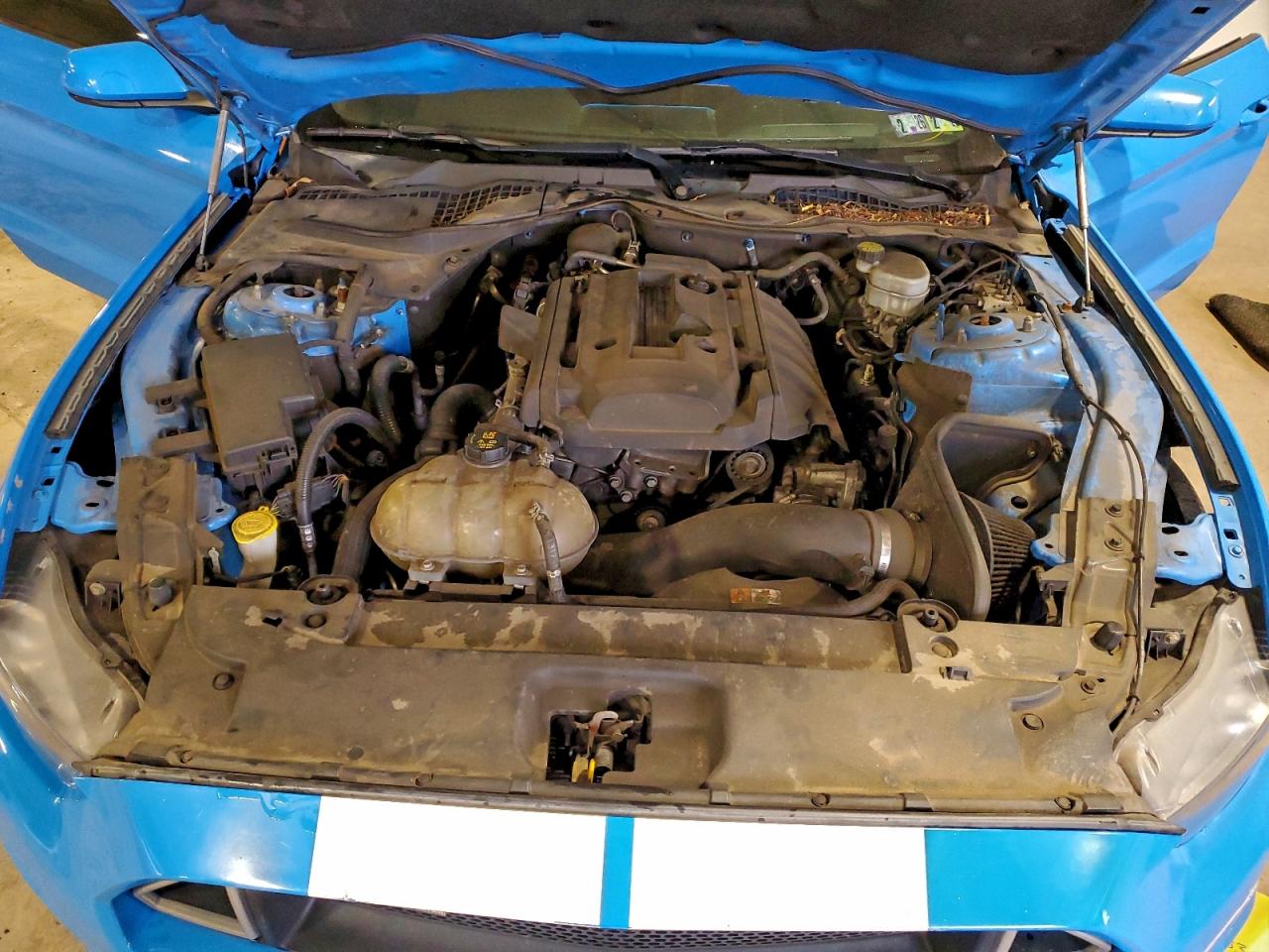 2017 Ford Mustang VIN: 1FA6P8TH5H5334924 Lot: 94330075