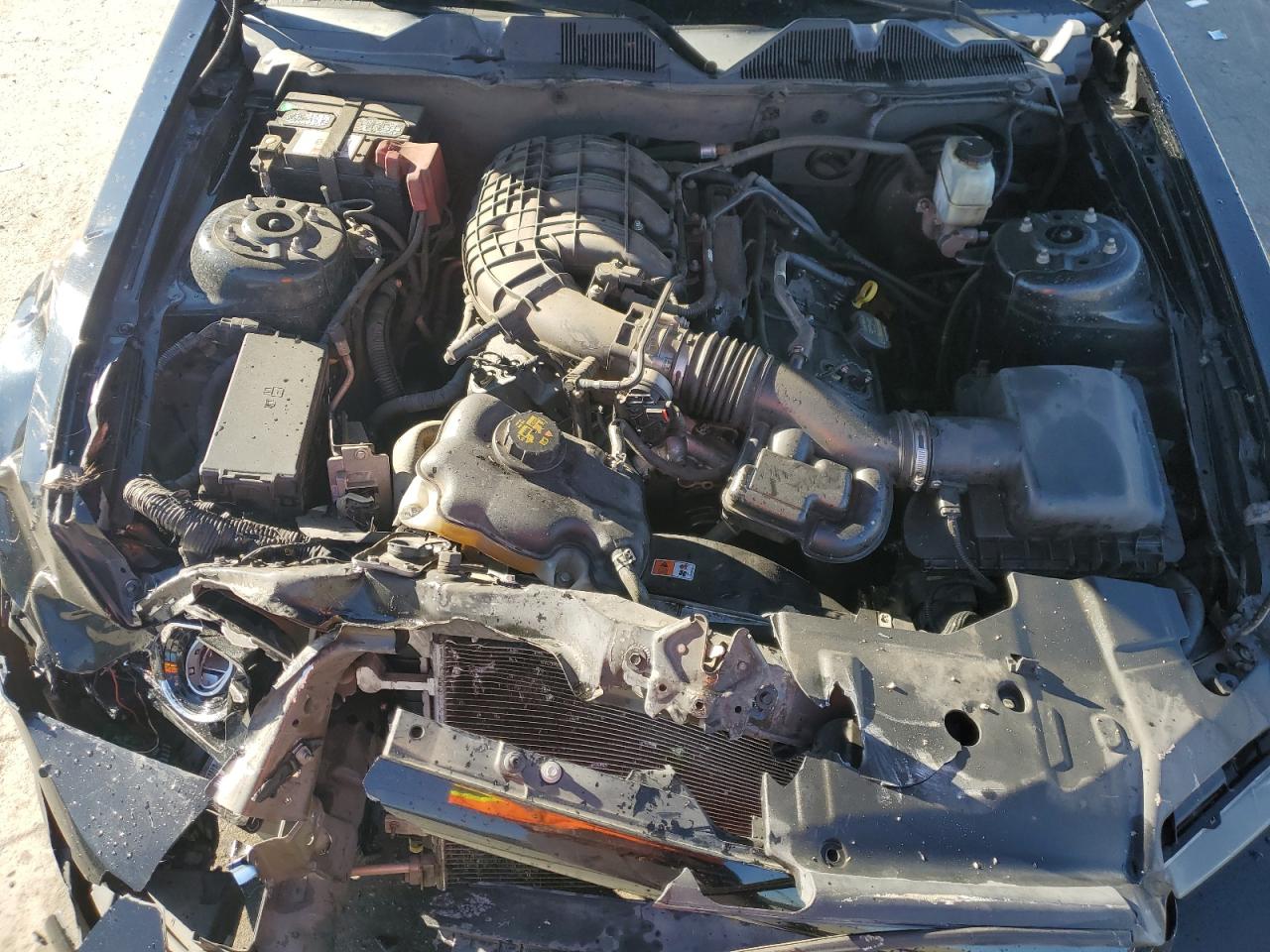 2013 Ford Mustang VIN: 1ZVBP8AM7D5279148 Lot: 91505905