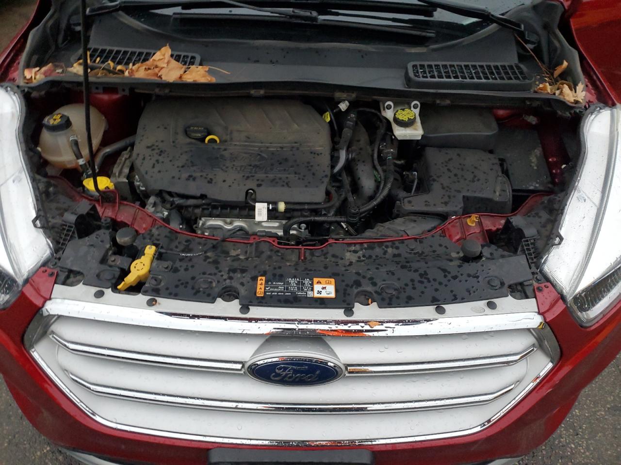 2018 Ford Escape Se VIN: 1FMCU0GD5JUC29564 Lot: 93534775