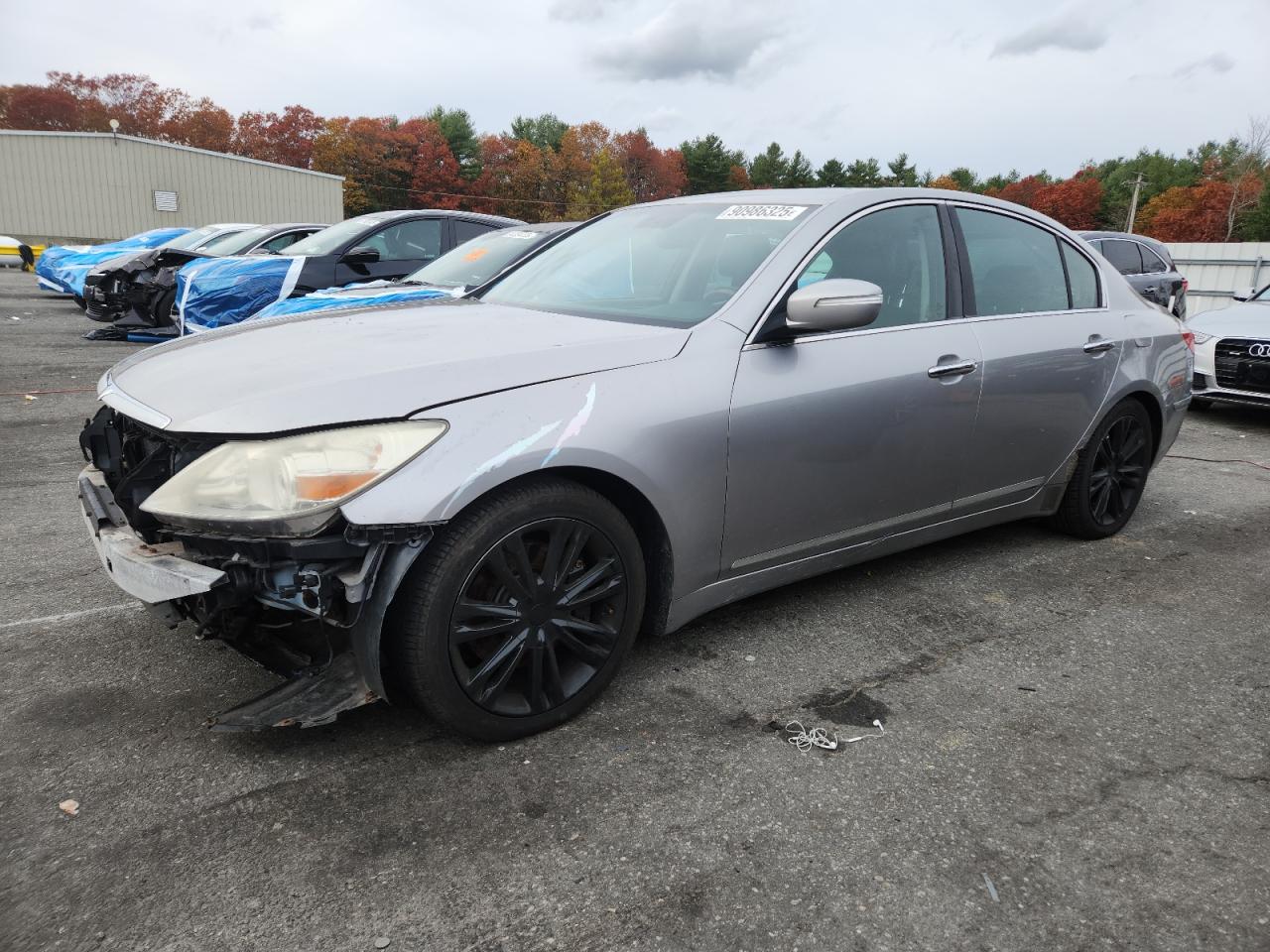 2009 Hyundai Genesis 4.6L VIN: KMHGC46F49U038096 Lot: 90986325