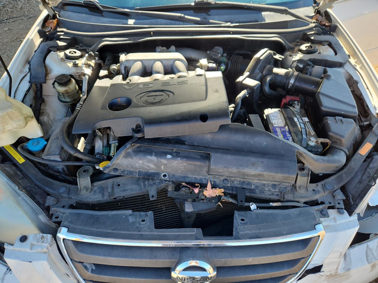 2003 Nissan Altima Se VIN: 1N4BL11D53C332502 Lot: 92620525