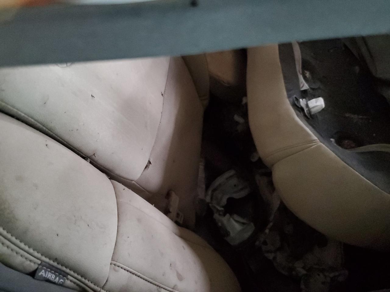 2020 Nissan Maxima Sl VIN: 1N4AA6DV9LC376005 Lot: 85391235