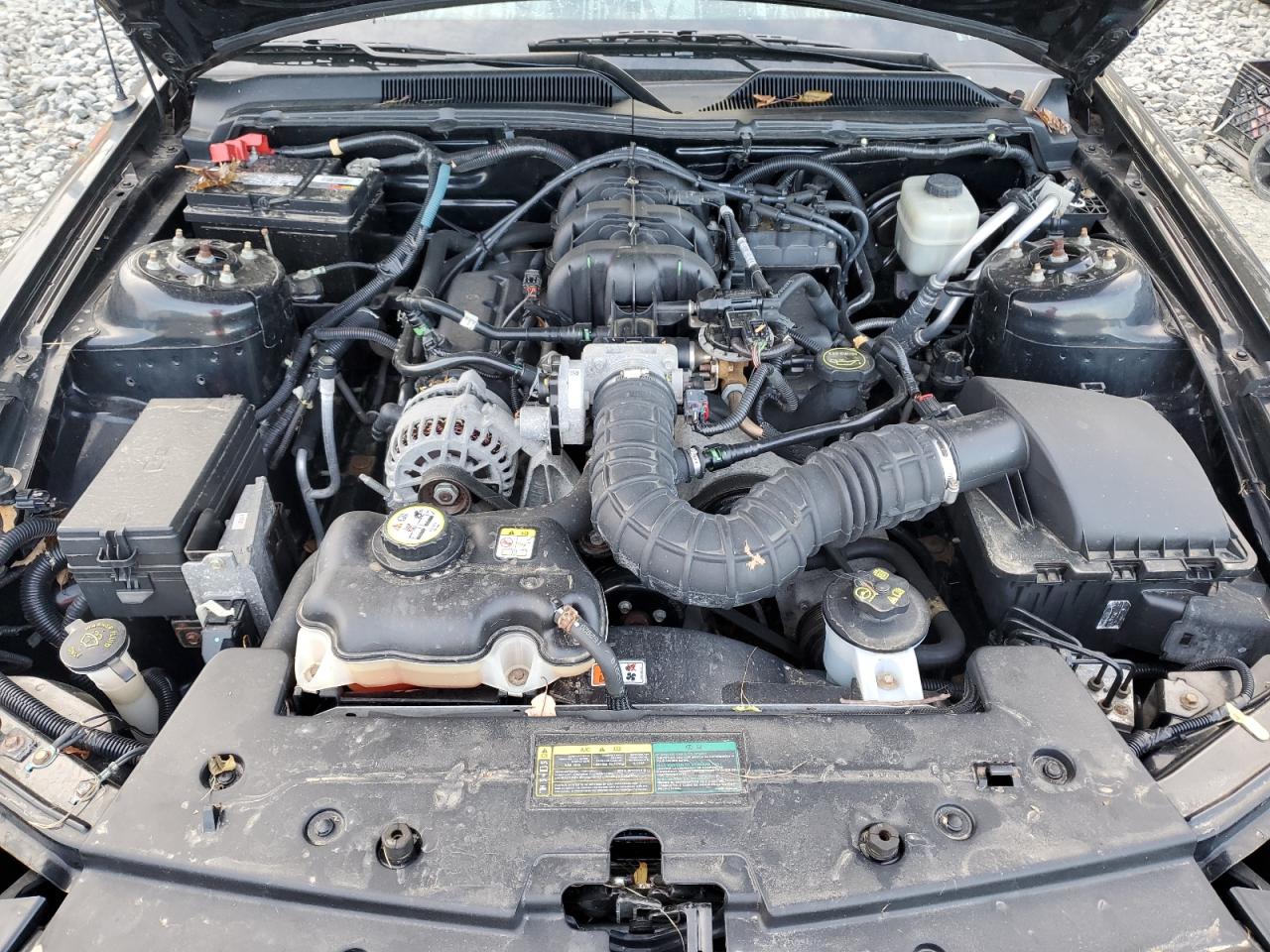 2008 Ford Mustang VIN: 1ZVHT80N185115593 Lot: 91098365