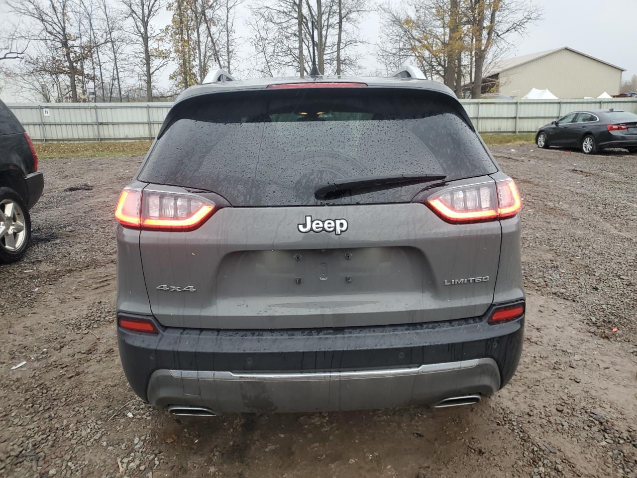 2019 Jeep Cherokee Limited VIN: 1C4PJMDX8KD451232 Lot: 91381305