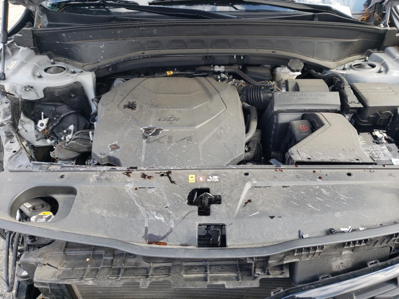 2022 Kia Telluride Sx VIN: 5XYP5DHC2NG225818 Lot: 92694155