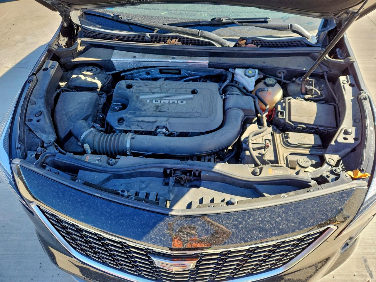 2019 Cadillac Xt4 Premium Luxury VIN: 1GYFZCR48KF171905 Lot: 91133445