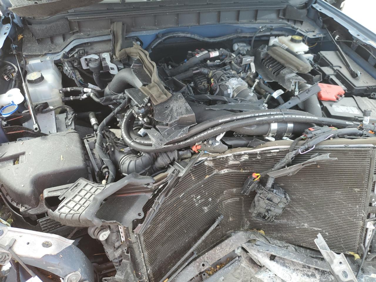 2023 Ford Bronco Base VIN: 1FMDE5CP7PLB75438 Lot: 91254995